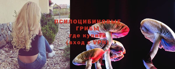 дмт Алзамай